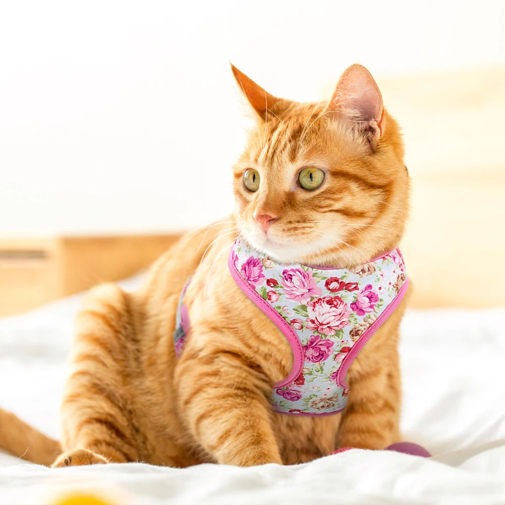 Harnais-gilet en nylon pour chien et chat, avec laisse rembourrée et respirante, imprimé floral, pour chiens et chats de petite, moyenne et grande taille.