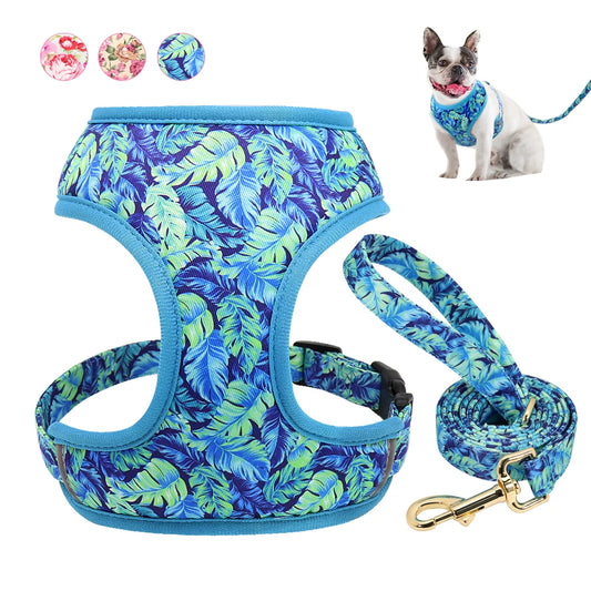 Harnais-gilet en nylon pour chien et chat, avec laisse rembourrée et respirante, imprimé floral, pour chiens et chats de petite, moyenne et grande taille.