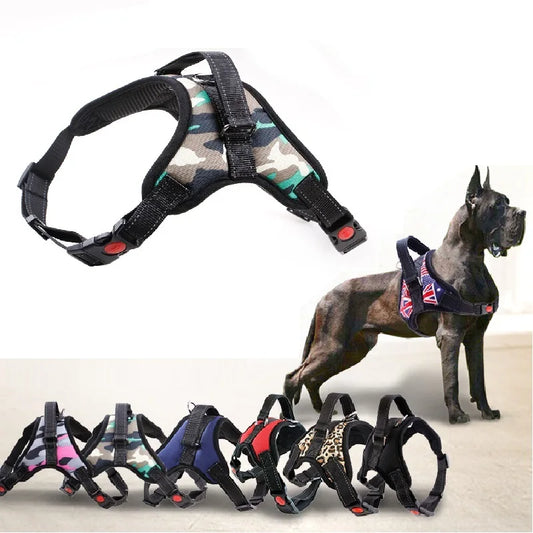 Harnais pour chien robuste en nylon, avec collier rembourré et réglable, pour chiens de grande, moyenne et grande taille (Husky, etc.).