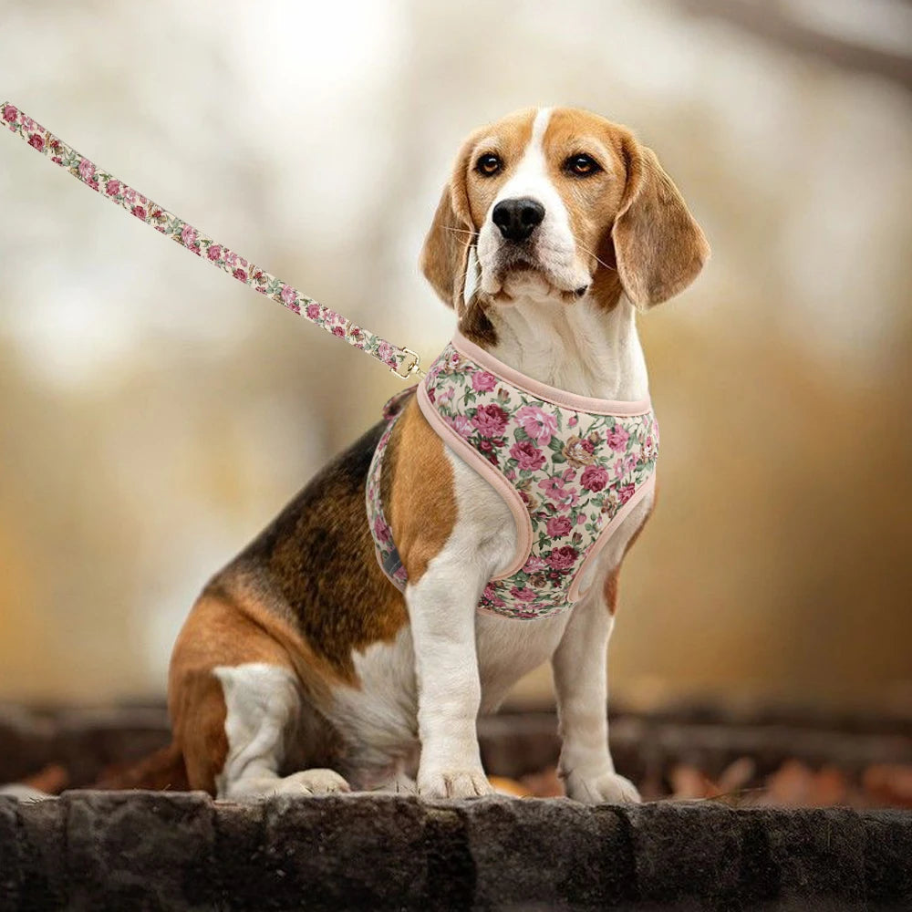 Harnais-gilet en nylon pour chien et chat, avec laisse rembourrée et respirante, imprimé floral, pour chiens et chats de petite, moyenne et grande taille.