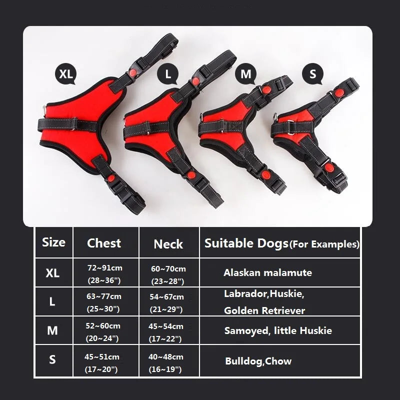Harnais pour chien robuste en nylon, avec collier rembourré et réglable, pour chiens de grande, moyenne et grande taille (Husky, etc.).