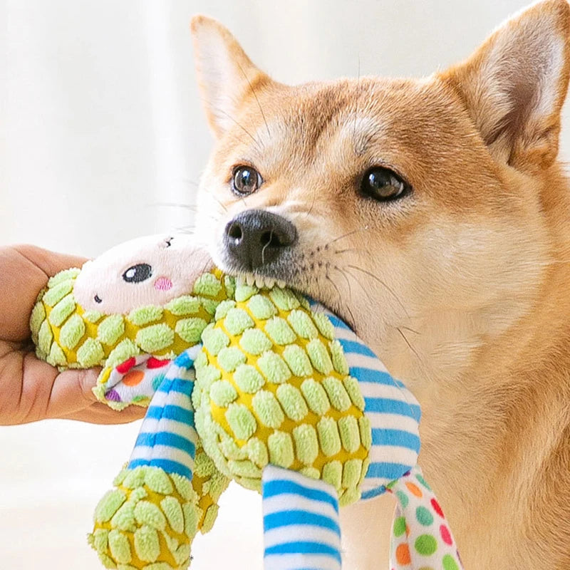Peluche pour animaux de compagnie (chat et chien), jouet puzzle interactif résistant aux morsures, jouet à mâcher pour le nettoyage des dents, accessoires pour animaux