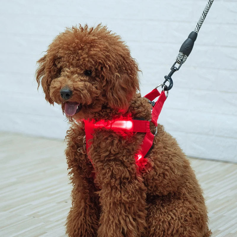 Harnais électronique LED tendance pour animaux de compagnie, accessoires pour chiens en nylon, laisse lumineuse clignotante, gilet lumineux pour chien, fournitures pour animaux de compagnie