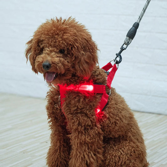 Harnais électronique LED tendance pour animaux de compagnie, accessoires pour chiens en nylon, laisse lumineuse clignotante, gilet lumineux pour chien, fournitures pour animaux de compagnie