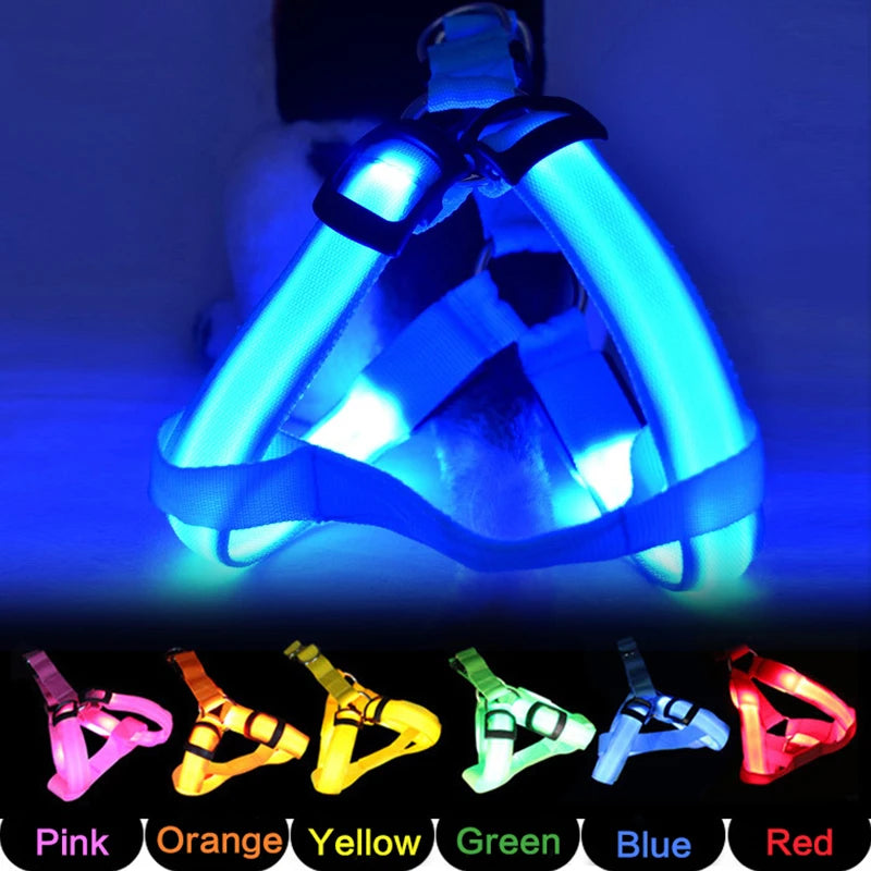 Harnais électronique LED tendance pour animaux de compagnie, accessoires pour chiens en nylon, laisse lumineuse clignotante, gilet lumineux pour chien, fournitures pour animaux de compagnie