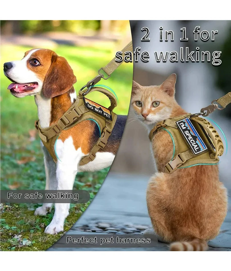 Harnais tactique pour chat et chien avec laisse, idéal pour le travail. Gilet ajustable pour animaux de compagnie, sangles en maille douce pour l'entraînement des chiots et poignées, adapté aux grands chats.