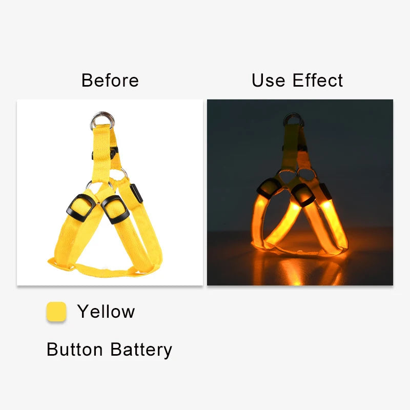 Harnais électronique LED tendance pour animaux de compagnie, accessoires pour chiens en nylon, laisse lumineuse clignotante, gilet lumineux pour chien, fournitures pour animaux de compagnie