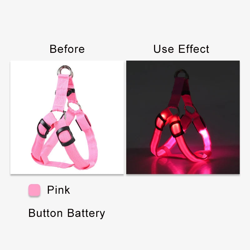 Harnais électronique LED tendance pour animaux de compagnie, accessoires pour chiens en nylon, laisse lumineuse clignotante, gilet lumineux pour chien, fournitures pour animaux de compagnie