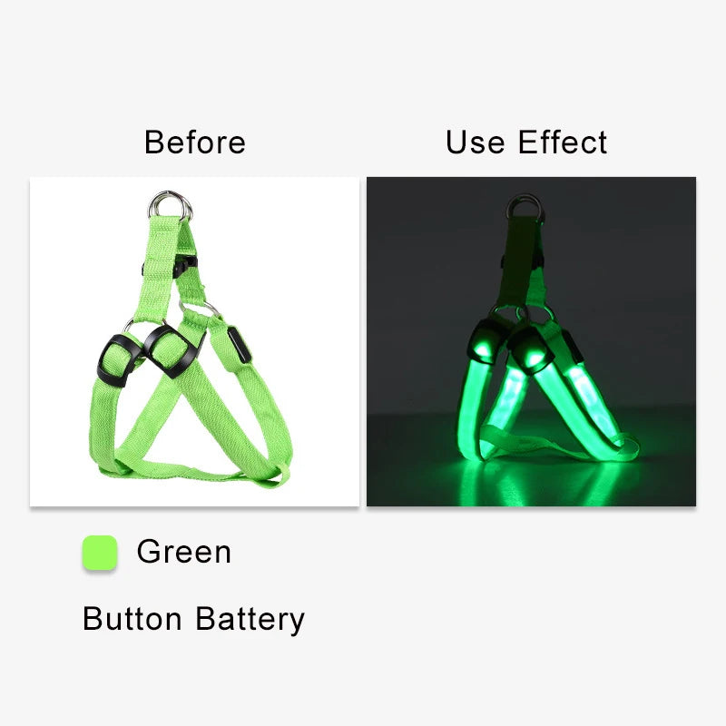 Harnais électronique LED tendance pour animaux de compagnie, accessoires pour chiens en nylon, laisse lumineuse clignotante, gilet lumineux pour chien, fournitures pour animaux de compagnie