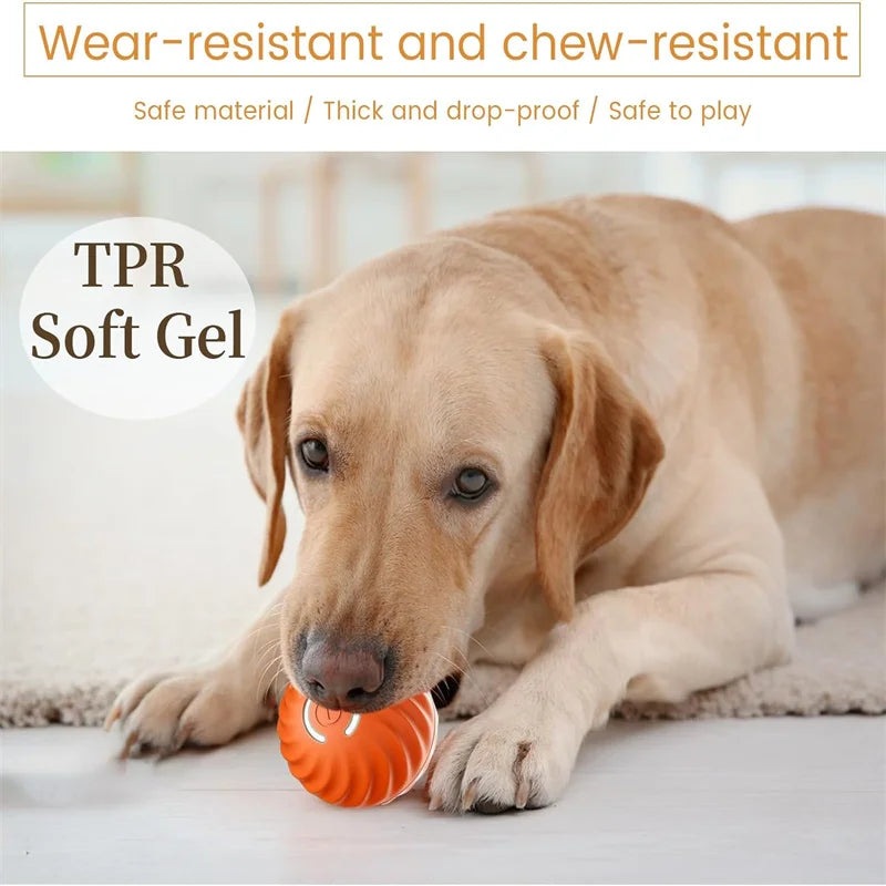Balle Intelligente pour Chien – Jouet Interactif Anti-Ennui Rechargeable USB 🐶