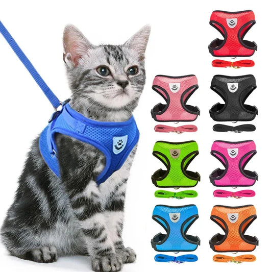 Harnais pour chat, laisse de promenade pour chiots, collier en polyester réglable en maille, accessoires pour animaux de petite et moyenne taille
