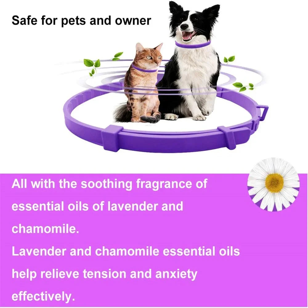 StopStress™ – Collier Apaisant Anti-Anxiété pour Chien & Chat (Effet Naturel Rapide)
