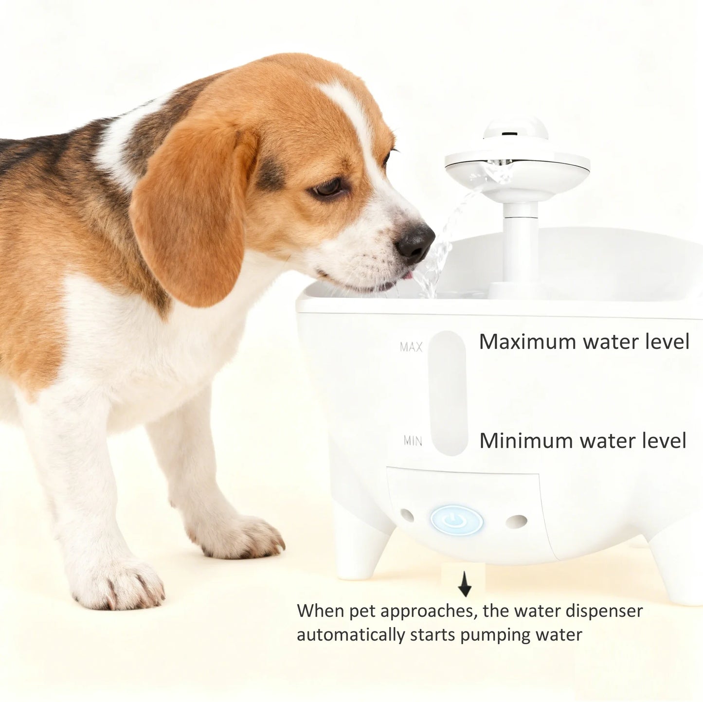 Fontaine d'eau intelligente de 1,6 L, dispensateur d'eau automatique avec fenêtre visuelle, ultra silencieux, sûr pour chats et petits chiens, accessoires pour animaux de compagnie
