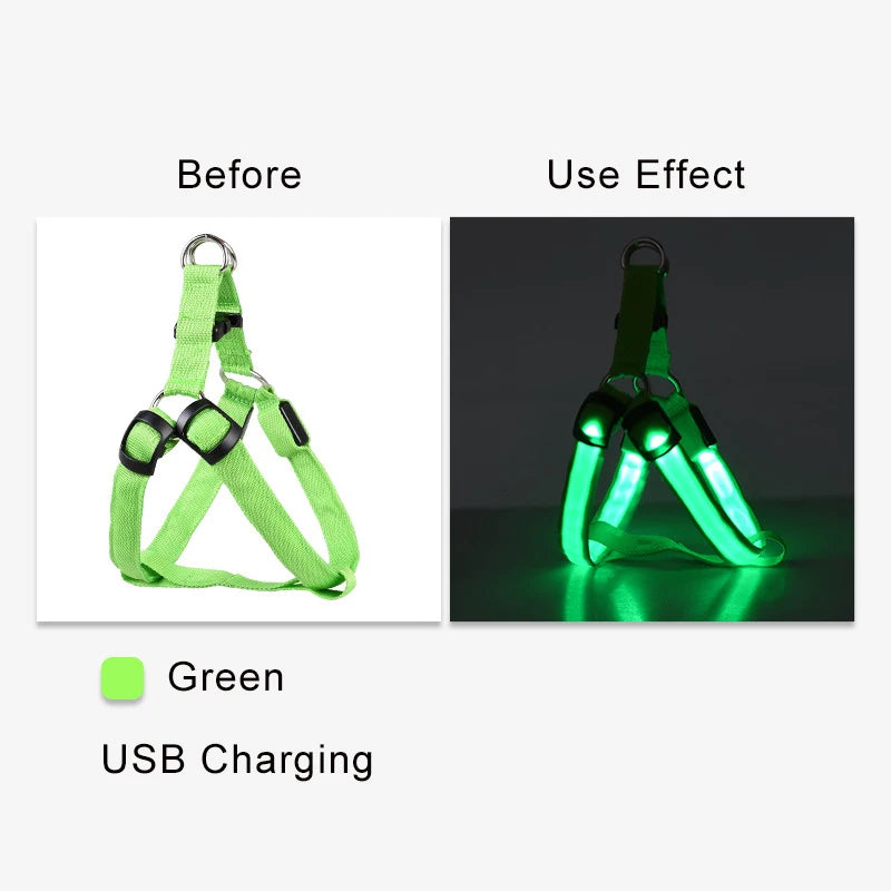Harnais électronique LED tendance pour animaux de compagnie, accessoires pour chiens en nylon, laisse lumineuse clignotante, gilet lumineux pour chien, fournitures pour animaux de compagnie