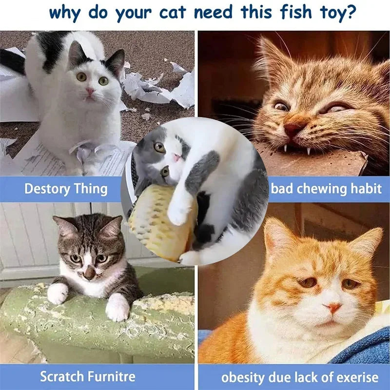 jouet poisson interactif pour chat| happypawsclub