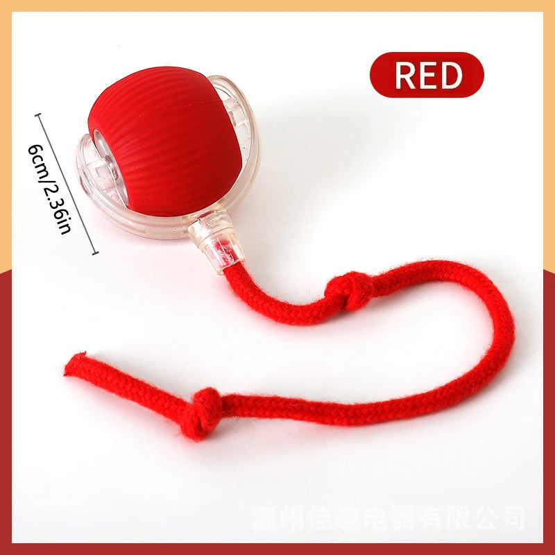 Balle Intelligente pour Chien – Jouet Interactif Anti-Ennui Rechargeable USB 🐶