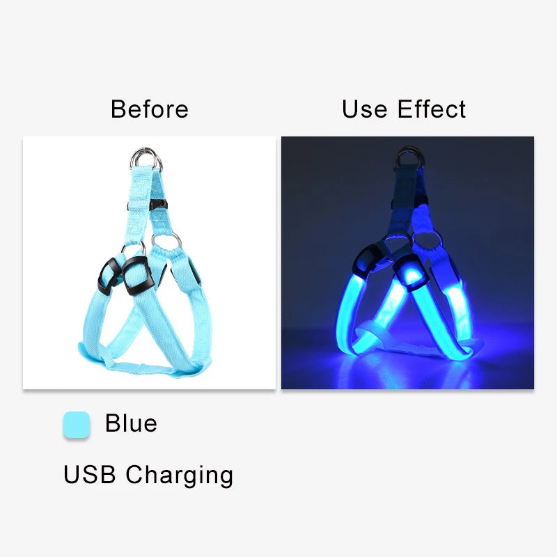 Harnais électronique LED tendance pour animaux de compagnie, accessoires pour chiens en nylon, laisse lumineuse clignotante, gilet lumineux pour chien, fournitures pour animaux de compagnie