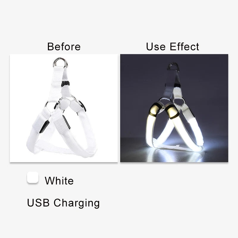 Harnais électronique LED tendance pour animaux de compagnie, accessoires pour chiens en nylon, laisse lumineuse clignotante, gilet lumineux pour chien, fournitures pour animaux de compagnie
