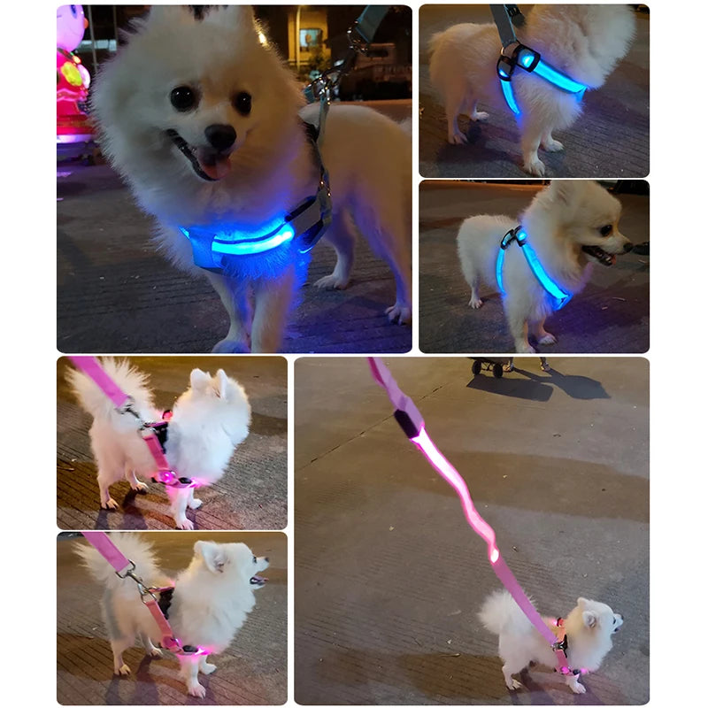 Harnais électronique LED tendance pour animaux de compagnie, accessoires pour chiens en nylon, laisse lumineuse clignotante, gilet lumineux pour chien, fournitures pour animaux de compagnie