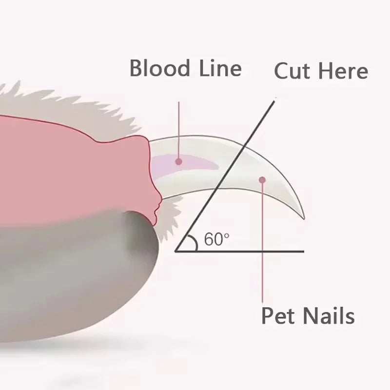 coupe-griffe sécurisé pour chien et chat| happypawsclub