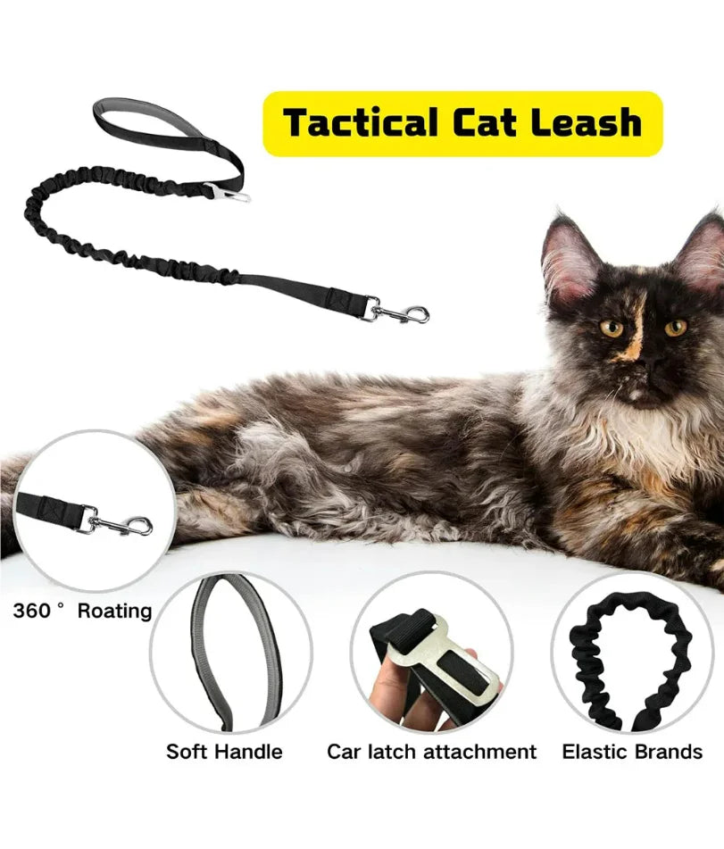 Harnais tactique pour chat et chien avec laisse, idéal pour le travail. Gilet ajustable pour animaux de compagnie, sangles en maille douce pour l'entraînement des chiots et poignées, adapté aux grands chats.