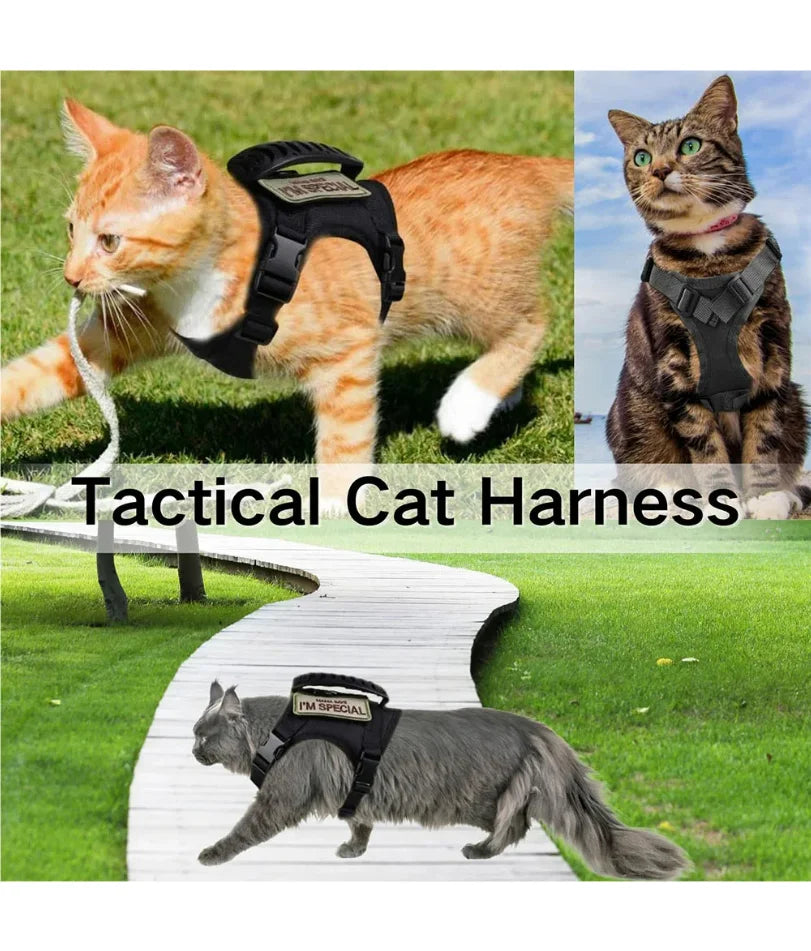 Harnais tactique pour chat et chien avec laisse, idéal pour le travail. Gilet ajustable pour animaux de compagnie, sangles en maille douce pour l'entraînement des chiots et poignées, adapté aux grands chats.
