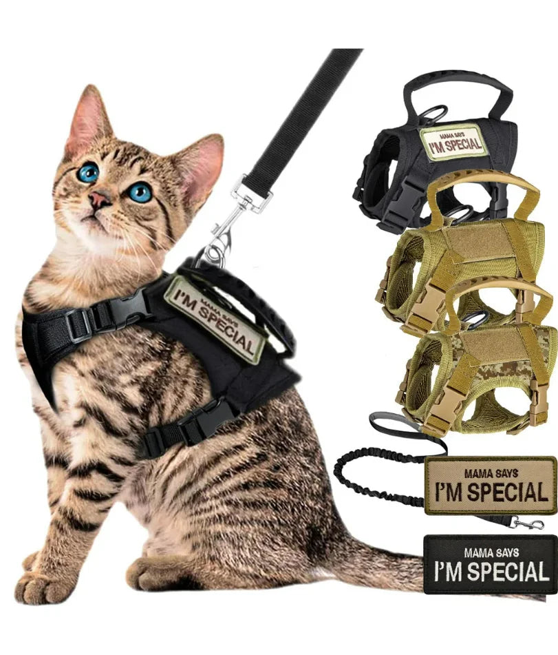 Harnais tactique pour chat et chien avec laisse, idéal pour le travail. Gilet ajustable pour animaux de compagnie, sangles en maille douce pour l'entraînement des chiots et poignées, adapté aux grands chats.